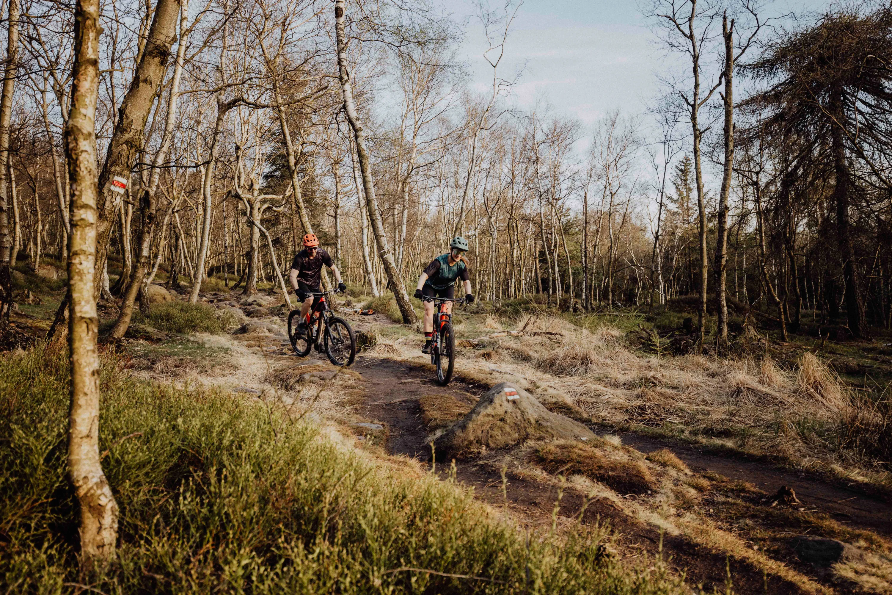 přilba FORCE IBEX MTB, oranžová, matná